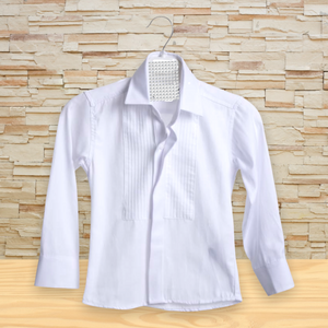 Solid white shirt (pleaded detailed)